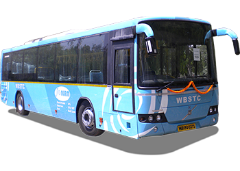 bus/car